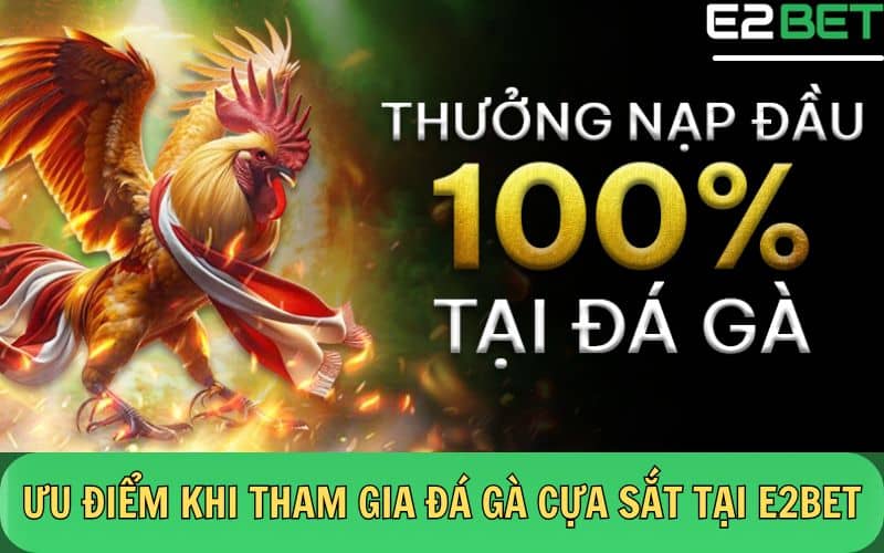 Cá cược đá gà cựa sắt tại E2BET nhận khuyến mãi hấp dẫn