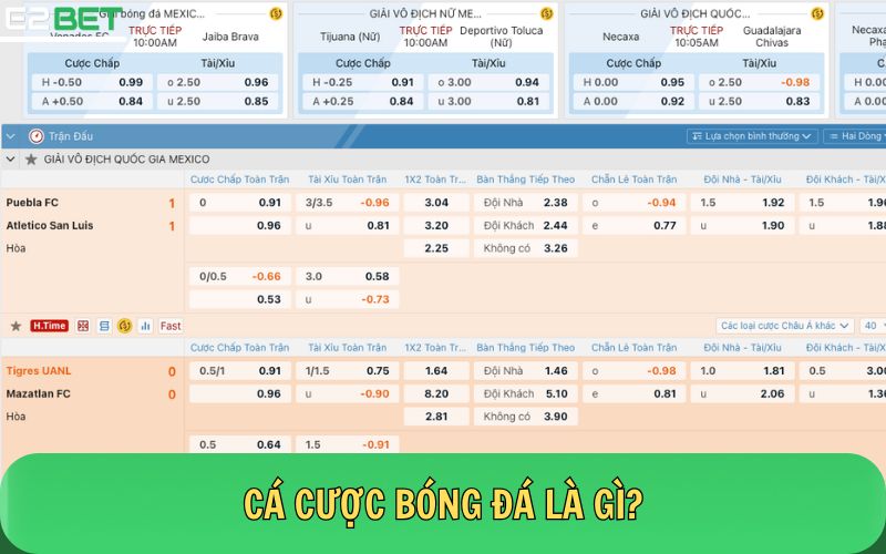 Cá độ bóng đá là gì?