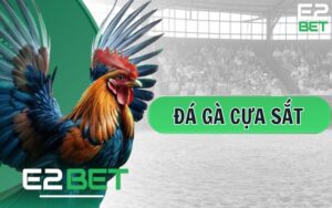 Đá Gà Cựa Sắt – Hình Thức Đá Gà Được Ưa Chuộng Nhất Tại E2BET