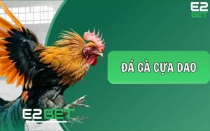 Đá Gà Cựa Dao – Trải Nghiệm Cá Cược Đỉnh Cao Tại E2BET