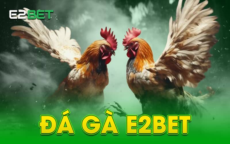 Đá gà E2BET là sản phẩm được phát triển bởi nhà cái E2BET