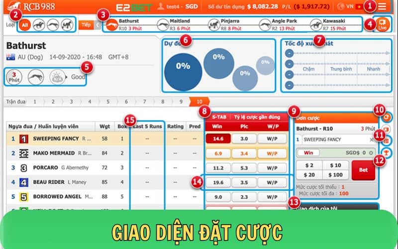 Giao diện trò chơi cá cược đua ngựa