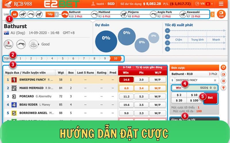 Hướng dẫn cách chơi cá cược đua ngựa tại E2BET