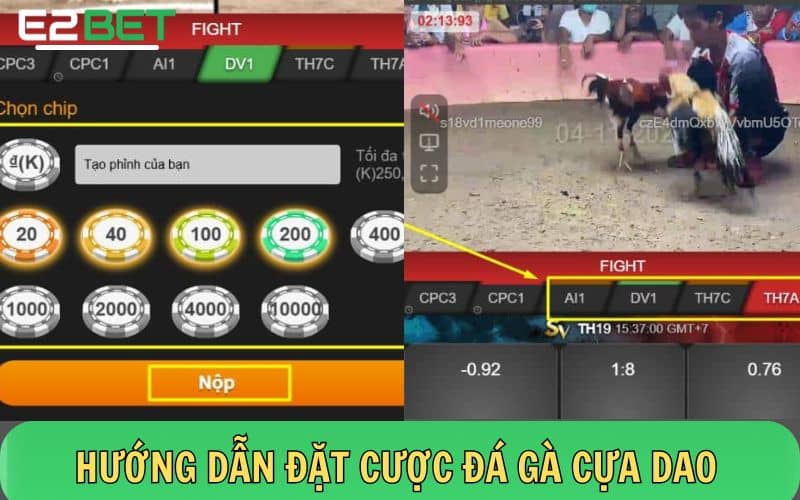 Hướng tham gia đá gà cựa dao tại E2BET