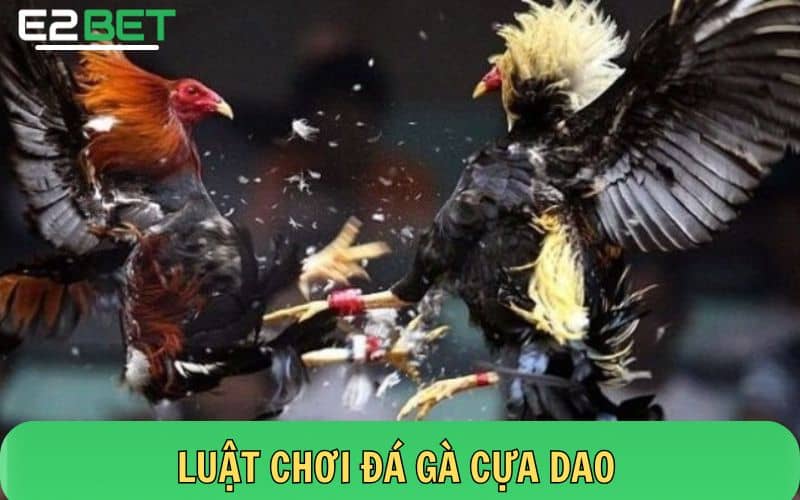 Luật chơi đá gà cựa dao tại E2BET