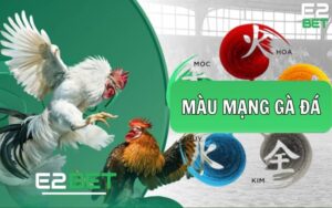 Màu Mạng Gà Đá Là Gì? Hướng Dẫn Cách Xem Chi Tiết Nhất